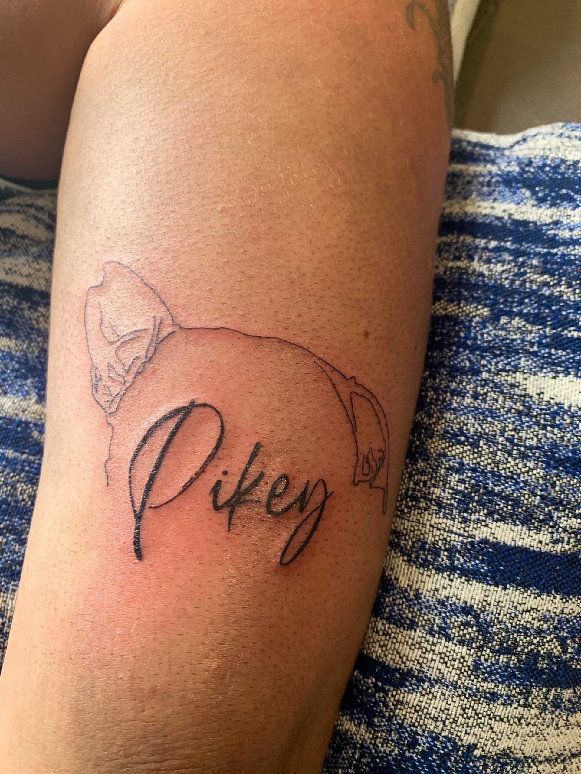 dog outline Fine Line Tattoo in San Diego